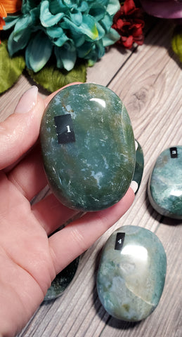 Moss Agate Palm Stone (Pick yours by number, prices vary)