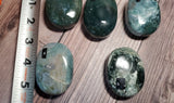 Moss Agate Palm Stone (Pick yours by number, prices vary)