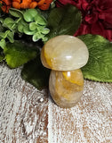 2.25" Tall Golden Healers Mushroom