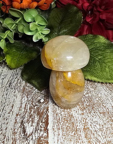 2.25" Tall Golden Healers Mushroom