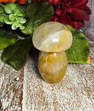 2.25" Tall Golden Healers Mushroom