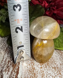 2.25" Tall Golden Healers Mushroom