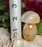 2.25" Tall Golden Healers Mushroom