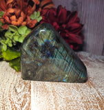 Labrodorite Polished Slab Free Form Standing Stone