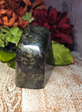 Labrodorite Polished Slab Free Form Standing Stone