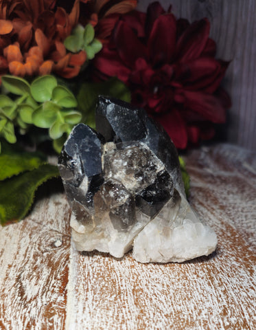 Smoky Quartz Cluster