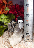 Smoky Quartz Cluster