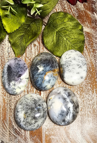 Dendritic Opal Pocket/Palm Stone