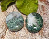 Moss Agate Pocket/Palm Stone