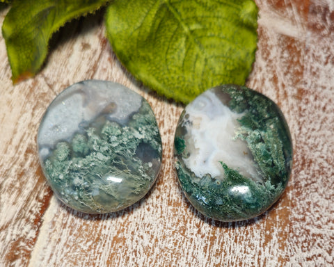 Moss Agate Pocket/Palm Stone