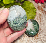 Moss Agate Pocket/Palm Stone