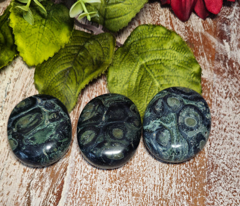 Kambaba Jasper Pocket/Palm Stone
