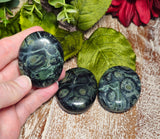 Kambaba Jasper Pocket/Palm Stone