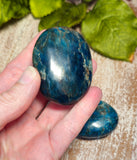 Apatite Pocket/Palm Stone