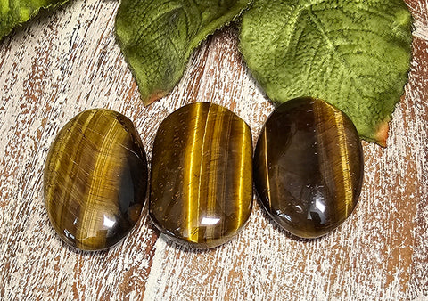 Tiger's Eye Pocket/Palm Stone