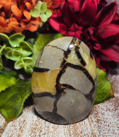 3" Septarian Free Form Standing Stone