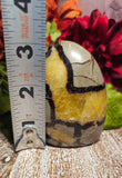3" Septarian Free Form Standing Stone