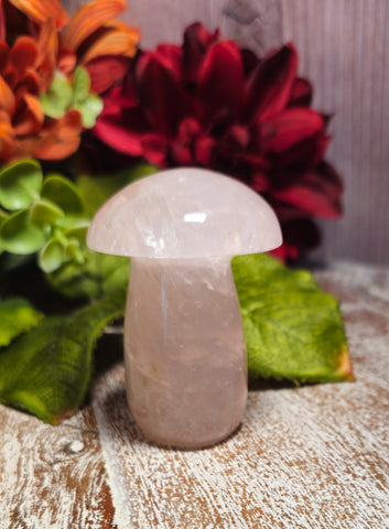 2.5" Tall Rose Quartz Mushroom