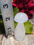 Selenite 2" Tall Mini Mushroom