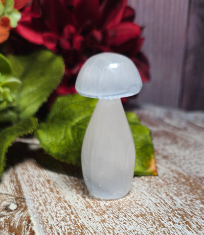 Selenite 2" Tall Mini Mushroom