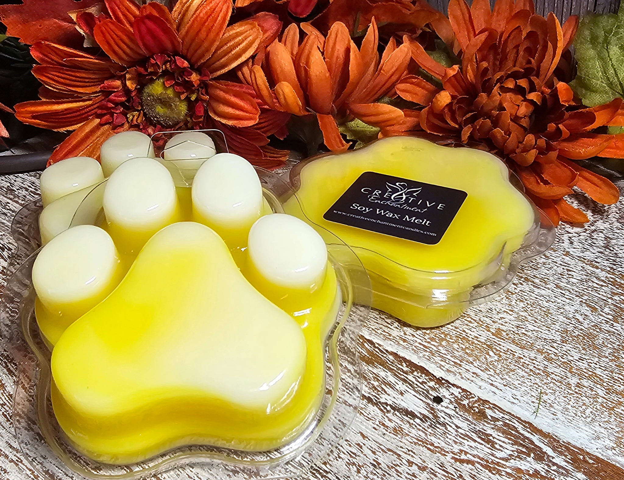 3 oz Paw Shaped Clamshell – Creative Enchantment Candles & More