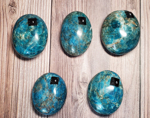 Blue Apatite Palm Stone (Pick yours by number, prices vary)