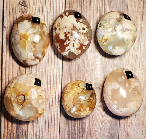 Flower Agate Palm Stone (Pick yours by number, prices vary)