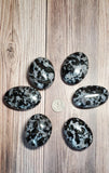 Medium Indigo Garbo (Merlinite) Palm Stone