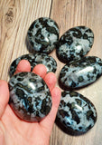 Medium Indigo Garbo (Merlinite) Palm Stone