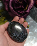 Large Indigo Garbo (Merlinite) Palm Stone